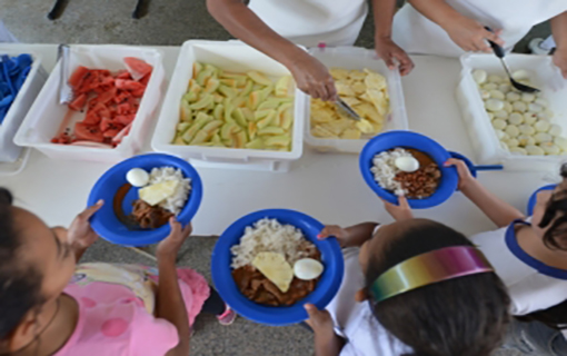 20102015_alimentao_saudvel