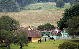 Pref. Araucária (PR)