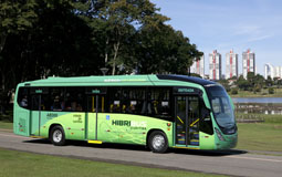 Pref. Curitiba (PR)