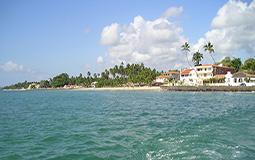 Pref. Vera Cruz (BA)
